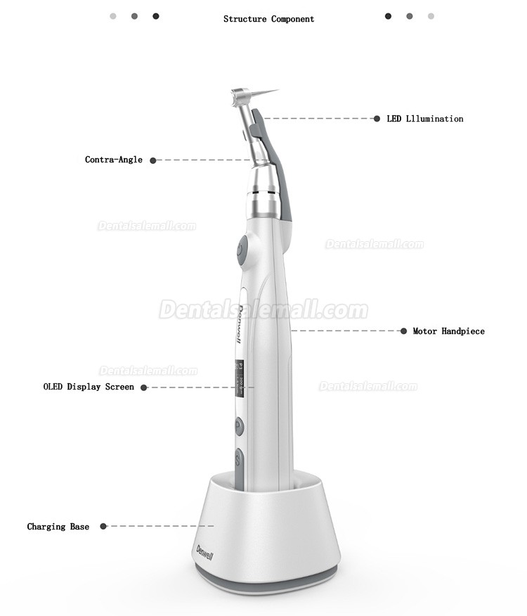 BYOND Endowell-1 Dental Wireless Endodontic Motor with Apex Locator